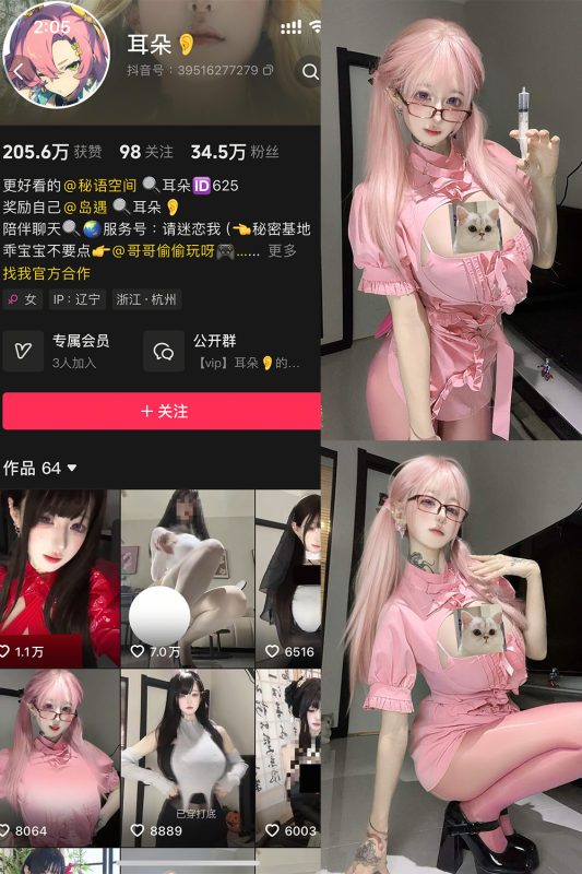 【在线看】抖音 耳朵 岛遇 NO.001期 【5P13V】-维密网-全网首发微密圈美女写真