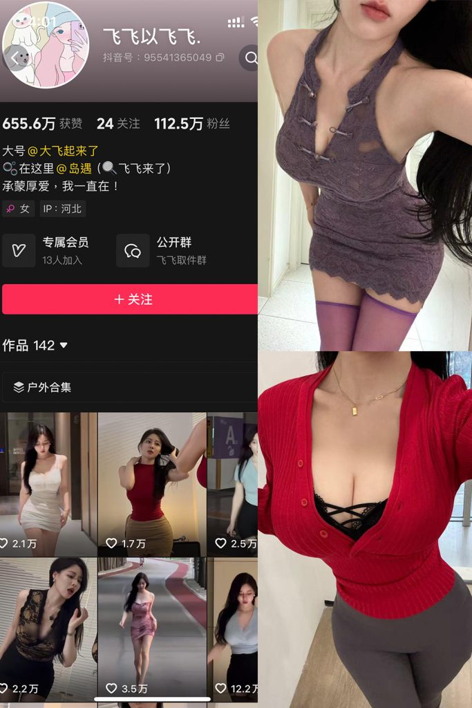 【在线看】抖音 飞飞以飞飞 岛遇 NO.001期 【21P1V】-维密网-全网首发微密圈美女写真