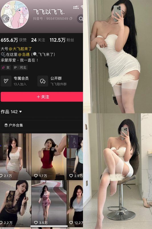 【在线看】抖音 飞飞以飞飞 岛遇 NO.005期 【29P2V】-维密网-全网首发微密圈美女写真